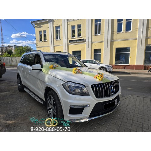 Свадебные украшения на авто "Солнечные ромашки"