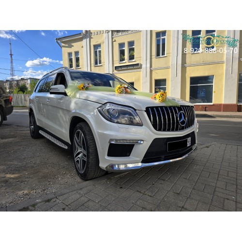 Свадебные украшения на авто "Солнечные ромашки"