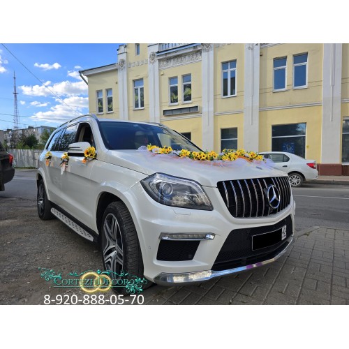 Свадебные украшения на авто "Солнечные ромашки"
